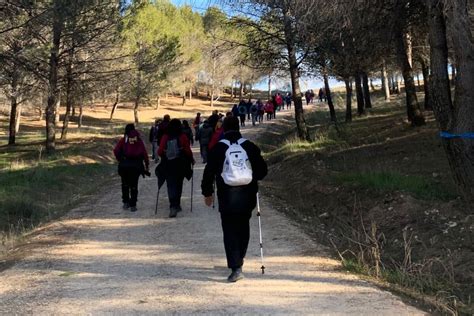 Las Enfermedades Cr Nicas Protagonistas De La D Cima Ruta Del Camino