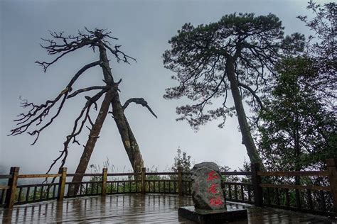 雾里看山 南宁大明山秋游记 南宁旅游攻略 游记 去哪儿攻略