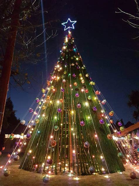 Encendido Del Rbol De Navidad