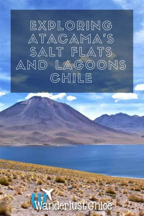 A Tour Of Atacamas Salt Flats And Altiplanic Lagoons Chile 2024 Guide