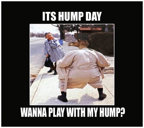 Happy Hump Day Meme