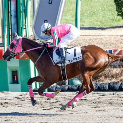 第41回東海テレビ杯東海ステークス 競馬ゲームを解き明かす