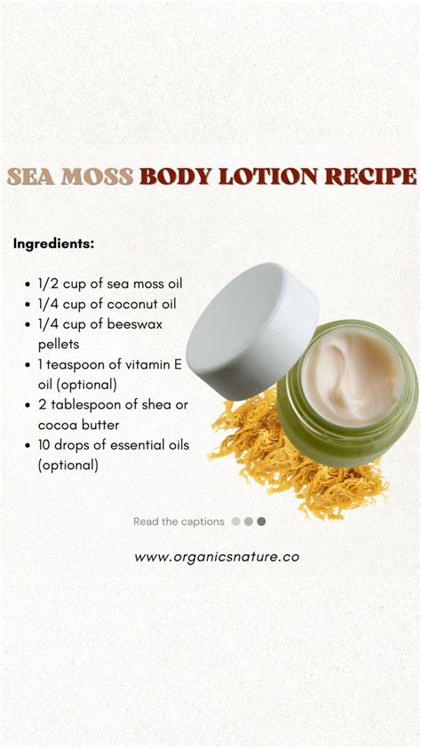 Sea Moss Body Lotion Recipe Lotion Recipe Sea Moss Body Butters Recipe