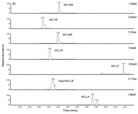 Ion Chromatograms Obtained Following Uhplc Ms Ms Showing Quantitative