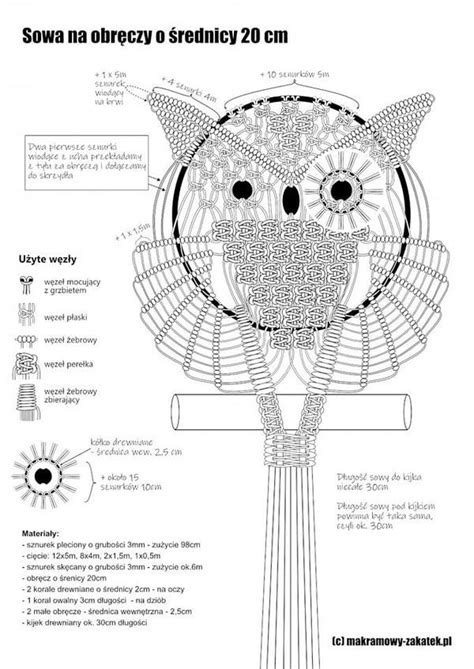 An Owl Is Depicted In The Diagram Above It S Head And Body With Words