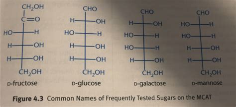 Carbohydrate Structure And Function Kch Flashcards Quizlet