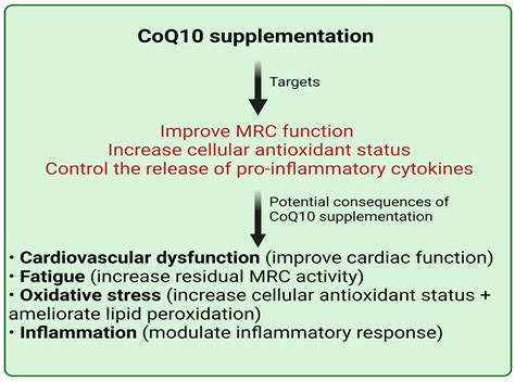 Lyme Disease A Role For Coenzyme Q10 Supplementation