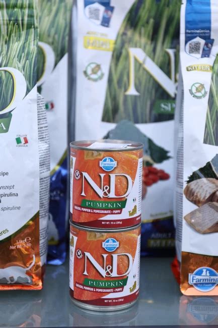 OGGUSTO x Farmina İş Birliğinde Patili Çocuklar Buluştu - OGGUSTO