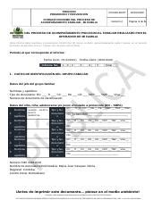 EJEMPLO INFORME DEL PROCESO DE ACOMPAÑAMIENTO PSICOSOCIAL FAMILIAR