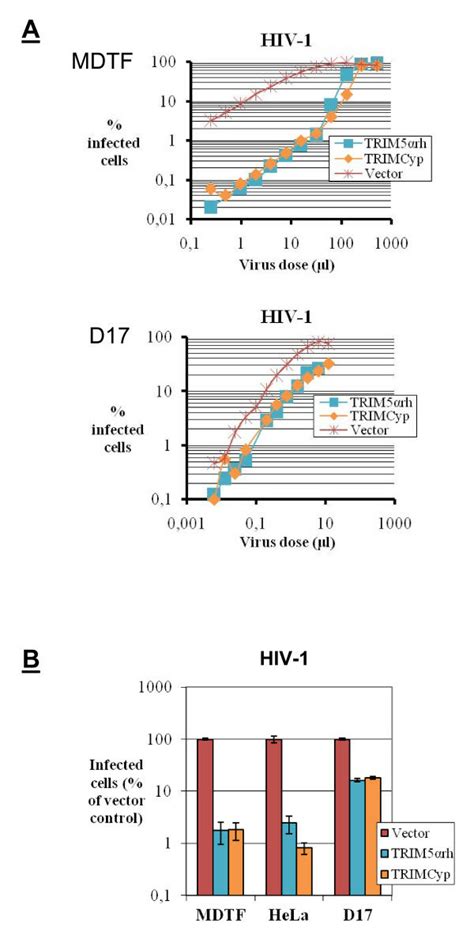 Restriction Of Hiv A Mdtf Or D Cells Expressing Trim Rh