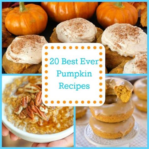 20 Best Ever Pumpkin Recipes - The Organized Mom