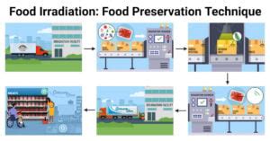 Food Irradiation Principle Of Food Preservation Technique