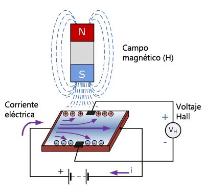 Grüner Salat Bleiben übrig Ufer como funciona un sensor magnetico