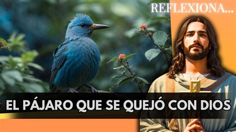 EL PÁJARO QUE SE QUEJÓ CON DIOS Cuentos Para Reflexionar YouTube