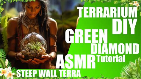 The Green Diamant Asmr Regenwaldterrarium Mit Pflanzen Und Moos