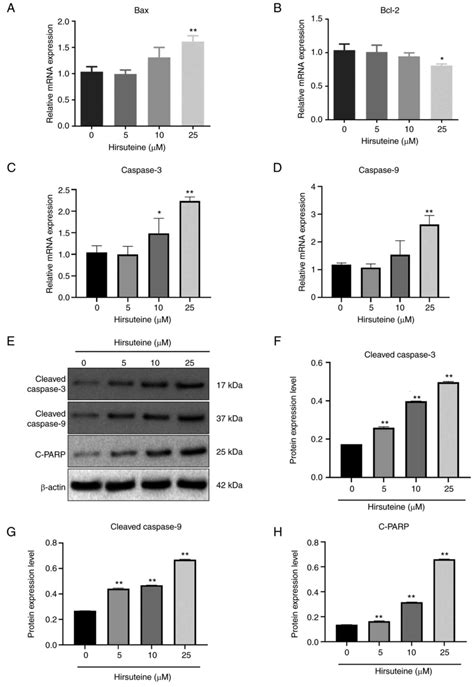 Effects Of Hirsuteine On MDAMB453 Breast Cancer Cell Proliferation