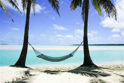 Empty Hammock Slung Between Two Palms On Pacific Island Beach Stock