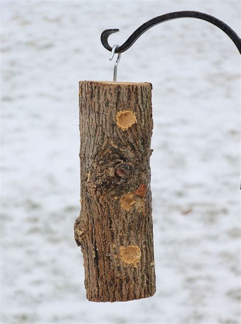 Build A Suet Log Feeder Hobby Farms Diy Bird Feeder Suet Bird