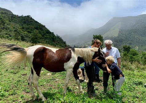 O Que Fazer Em Nova Friburgo Roteiro Na Serra Do Rio De Janeiro