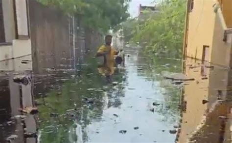 Chennai Floods, Cyclone Michaung: Video: Chennai, Battling With Floods ...