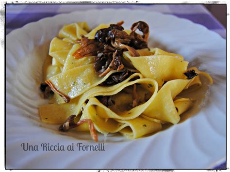 Pappardelle Ai Funghi Finferli Ricetta Leggera Riccia Ai Fornelli