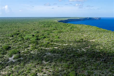 The Road to Recovery on Mona Island - Island Conservation