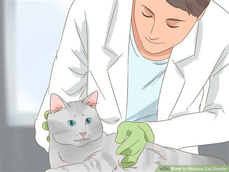 4 Ways to Reduce Cat Dander - wikiHow