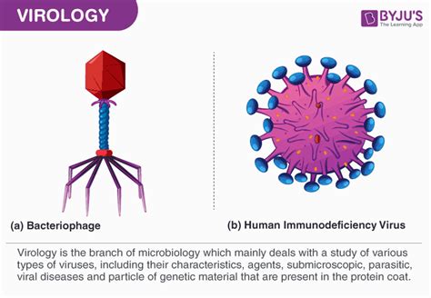 A Detailed Overview Of Virology