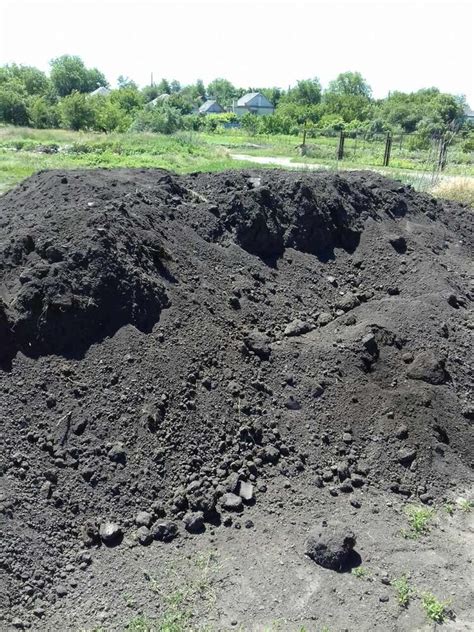 Чернозем