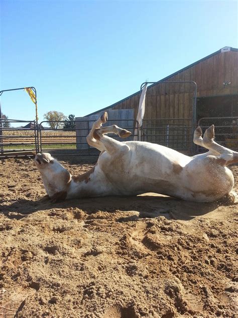 Sahara Jessica Parker nude leaks | Scrolller