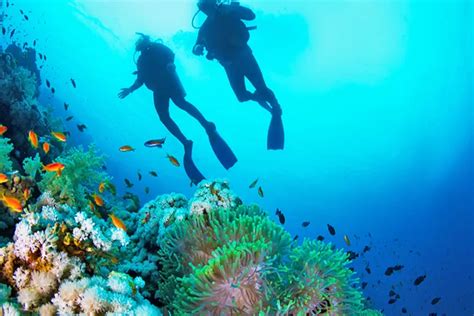 Pulau Abang Surga Snorkeling Dan Diving Di Batam Radar Bangkalan