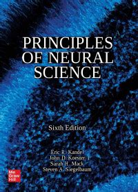 Principles Of Neural Science Sixth Edition Eric R Kandel John D