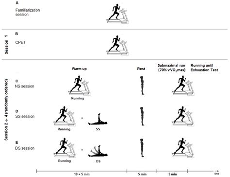 Dynamic Stretching Exercises