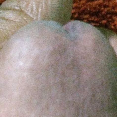 My Strong Dikk Gay Masturbation Masturbation Porn Feat Kammo XHamster