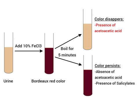 Coagulase Test : Types, Principle, Procedure, Interpretation and Examples