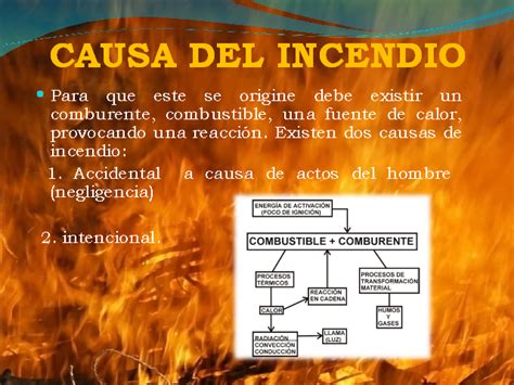 Investigación De Incendio Lo Necesario Que Debemos Tener En Cuenta