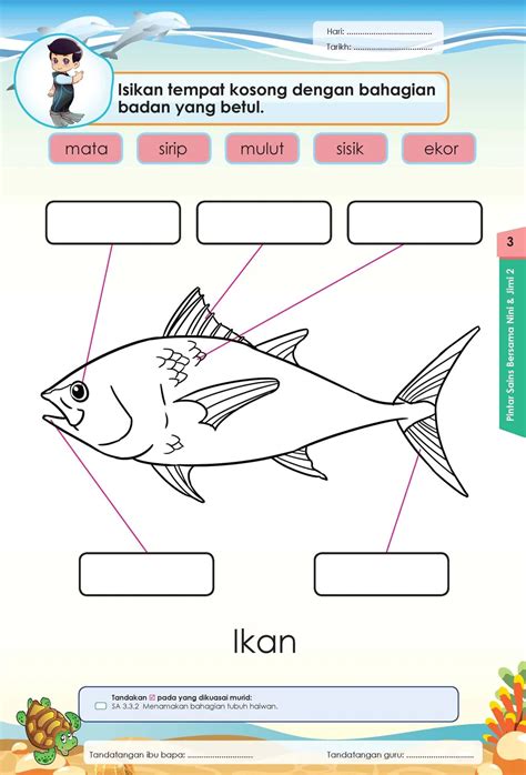 Lembaran Kerja Sains Prasekolah Anggota Badan Anggota Badan Activity Ila Mraz