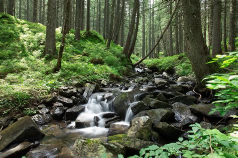 Les Rapports Du GIEC Qu Est Ce Que C Est Semeur Dhistoires