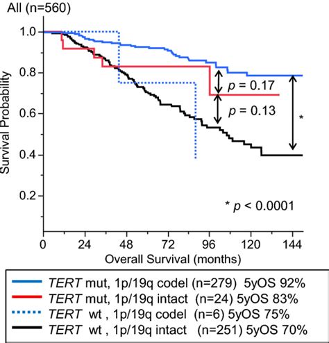 Tert Promoter Mutation Confers Favorable Prognosis Regardless Of 1p 19q