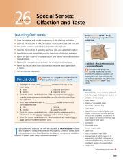 Lab 26 Special Senses Olfaction And Taste 1 Pdf Special Senses