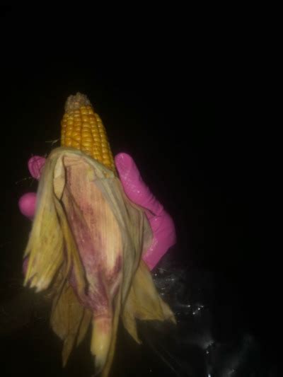 I Am Horny On My Walk Lets Take Some Dildo From T Tumbex