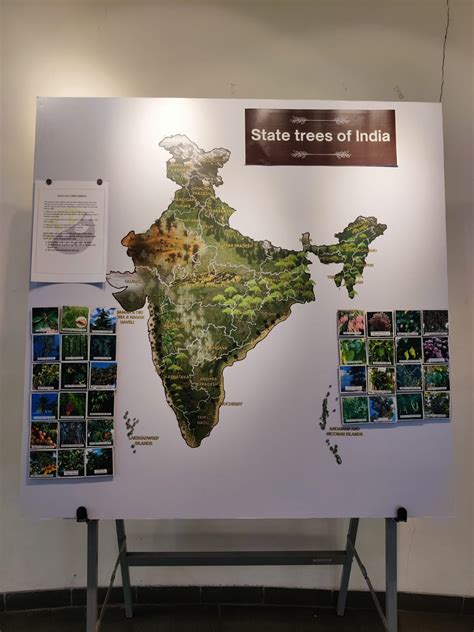 Themed exhibits | RRBCEA