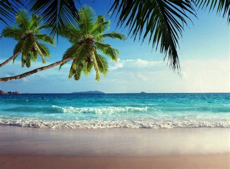 HD Tropical Beach Landscape Wallpaper Screensavers Wallpapes - High ...