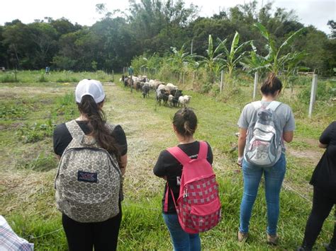 20161024 Fazenda Aula criação animais agroecológica mandala 001