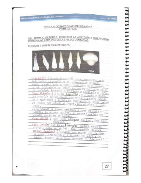 Manual de prácticas de odontologia Camila Valdivia uDocz