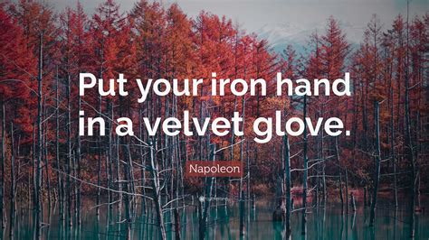 Napoleon Quote Put Your Iron Hand In A Velvet Glove”