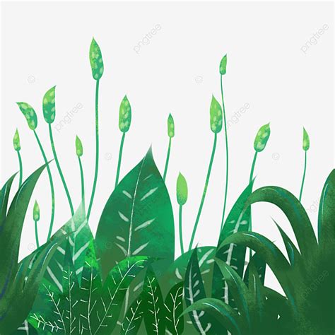 Verde Planta Hierba Hierba PNG , Verde, Planta, Césped PNG y PSD para Descargar Gratis | Pngtree