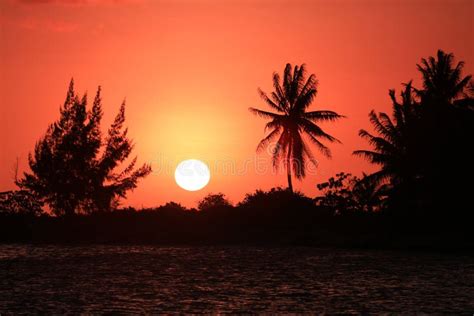 Sunset Over the Southern Pacific Stock Image - Image of horizon, beaches: 89488015