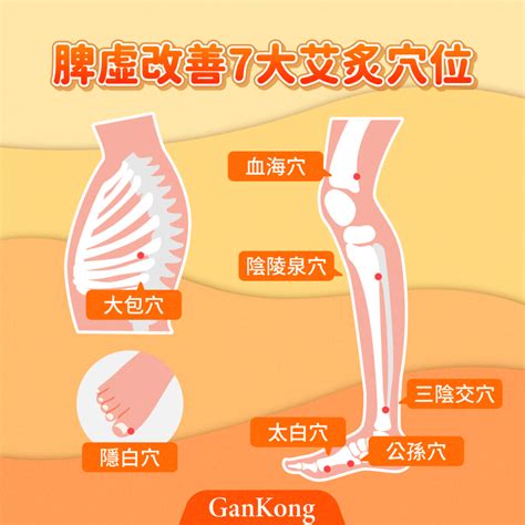 脾虛症狀身體虛累累？食療調理讓你不「脾」勞！ Gk健康網