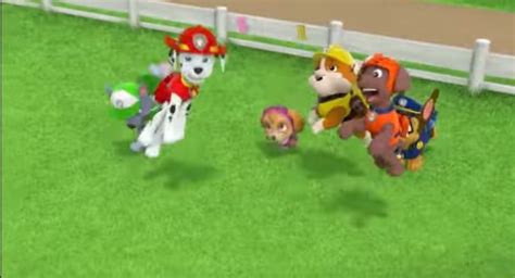 Paw Patrol Funny Moments